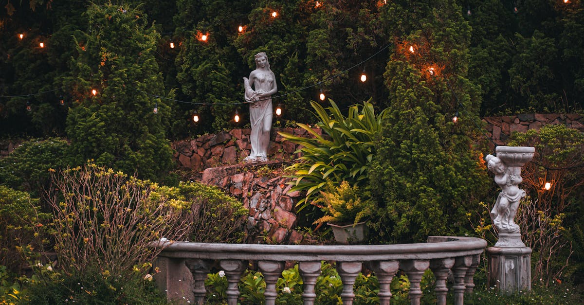 Balancing Hardscape and Softscape Transitions in Garden Design