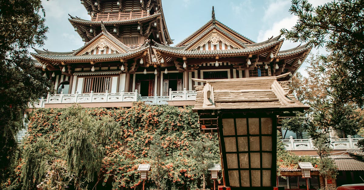 Enhancing Focalization with Plant Selection