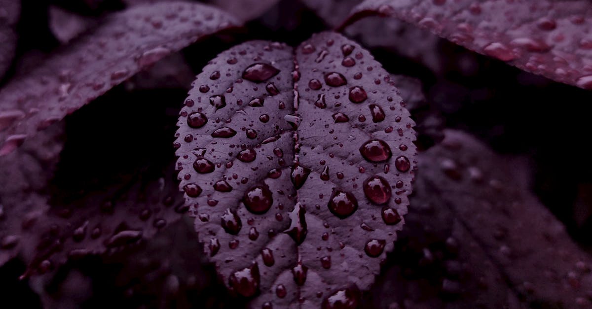 Enhancing Unity through Repetitive Elements