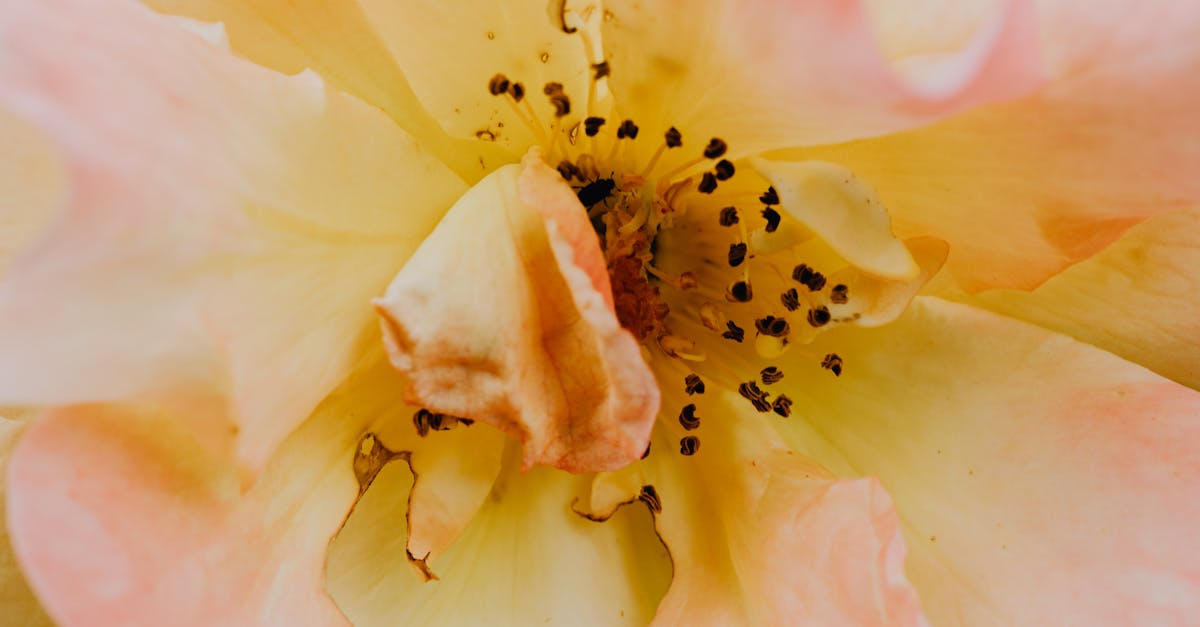 Incorporating Asymmetrical Elements in Garden Landscapes