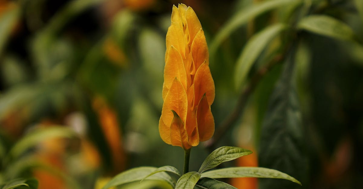 Incorporating Pathways for Seamless Transitions in Landscaping