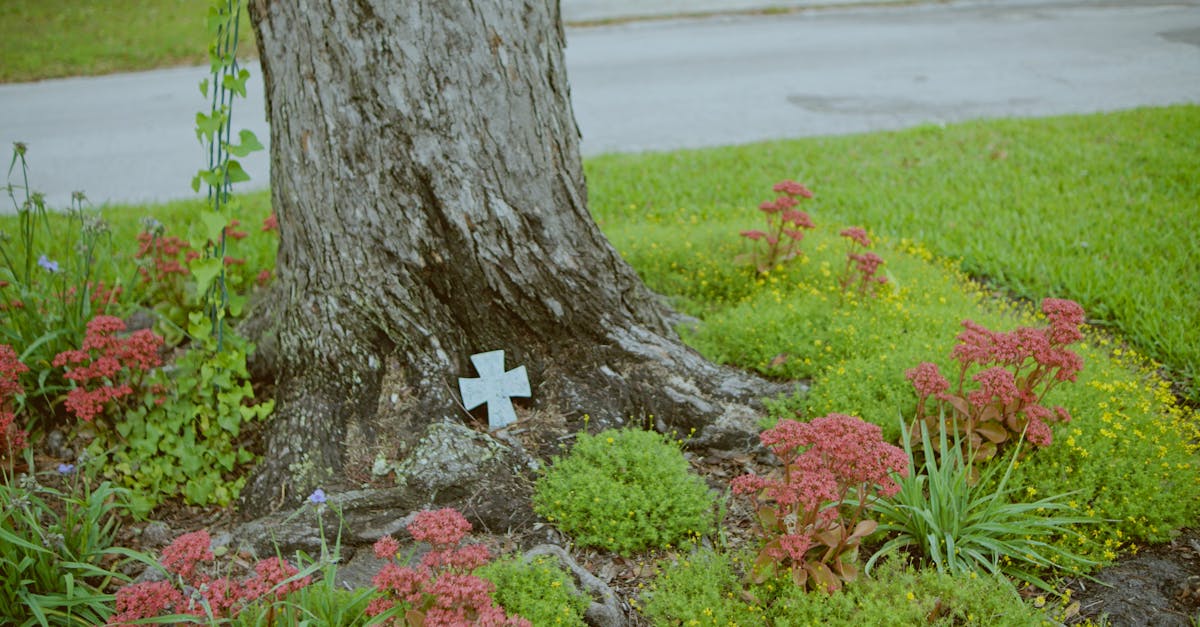 Mastering Proportion and Scale in Landscape Design