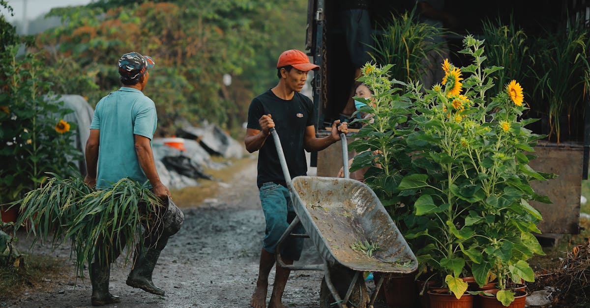 Principles of Symmetrical Design in Landscape Gardening