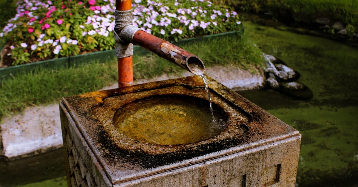 Simplicity and Elegance in Garden Design