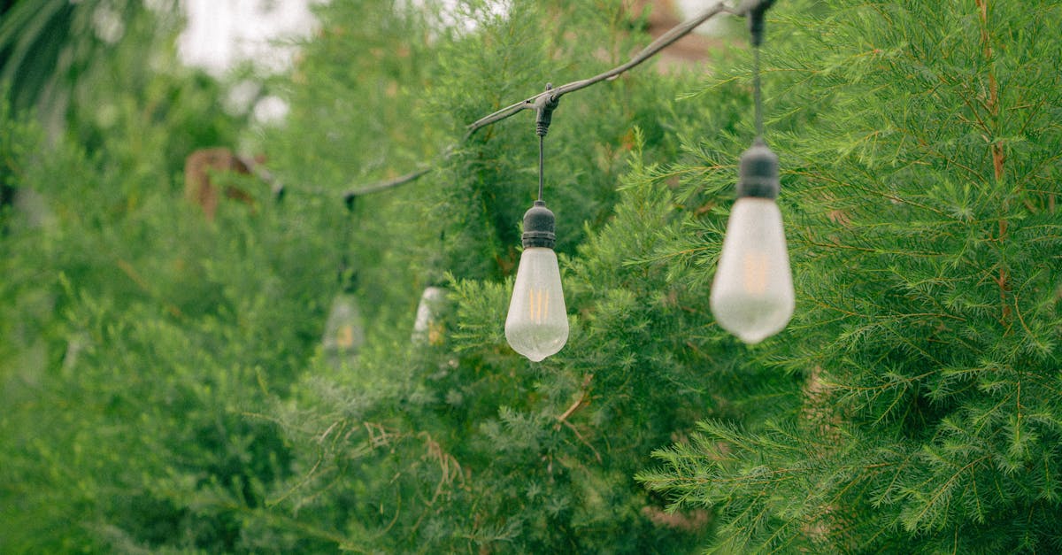 The Role of Formal Balance in Landscape Architecture