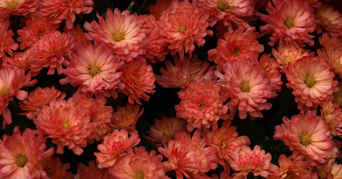 The Role of Repetition in Creating Visual Interest