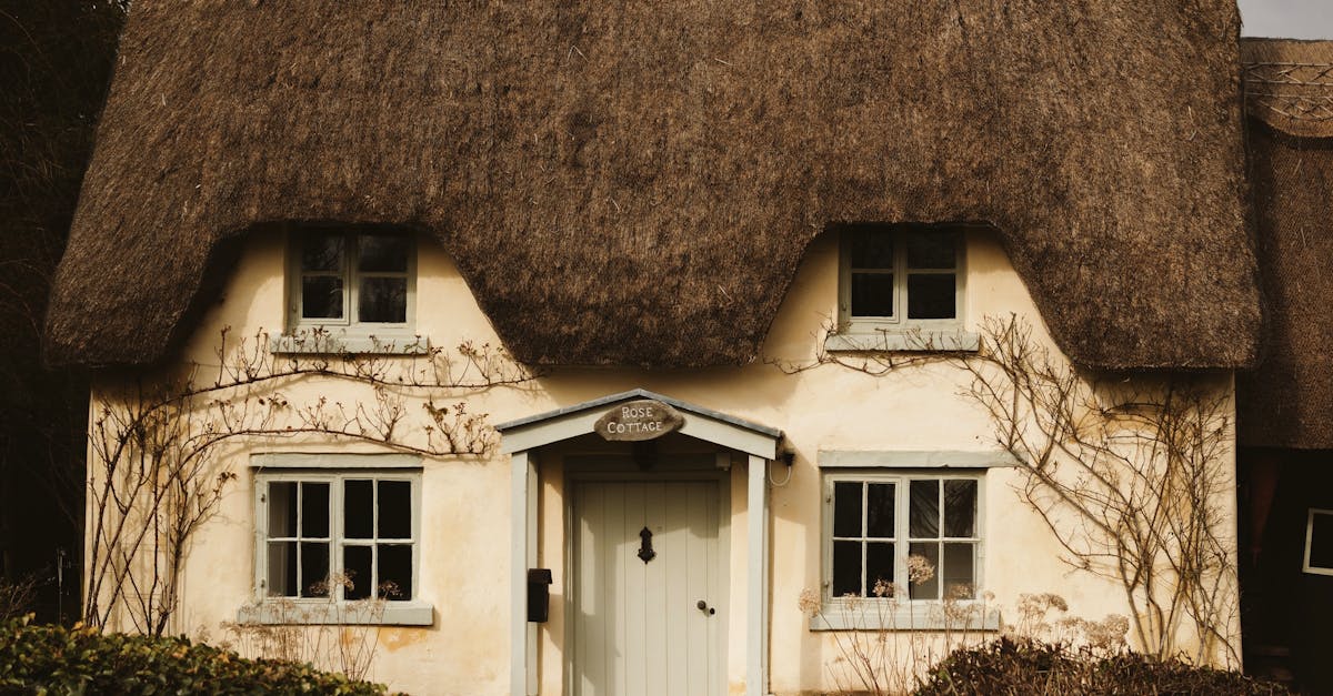 Transition Planting Techniques for Harmonious Landscapes