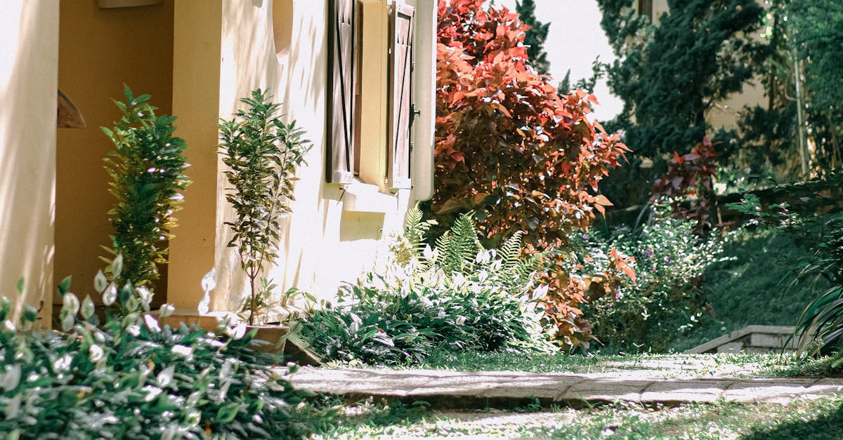 Using Colour to Emphasize in Garden Landscaping