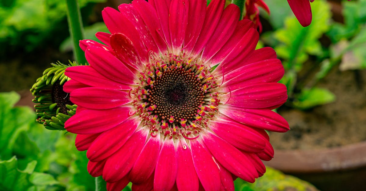 Utilizing Repetition for Visual Impact